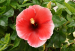 images/gallery/src/1266391775.jpg