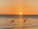 images/member/src/6449556388.jpg