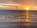 images/member/src/8022609675.jpg