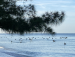 images/member/src/8025218525.jpg